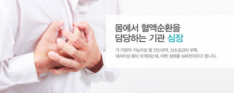몸에서 혈액순환을 담당하는 기관 심장
